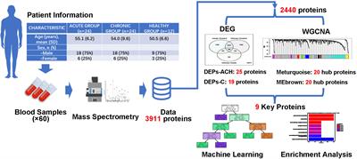 Unravelling potential biomarkers for acute and chronic brucellosis through proteomic and bioinformatic approaches